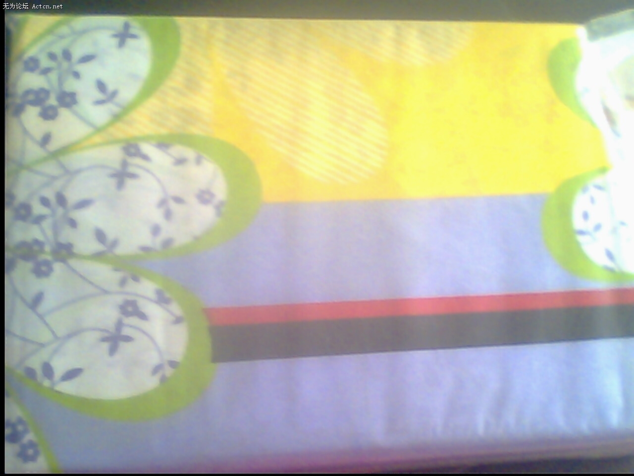 IMG0132A.jpg