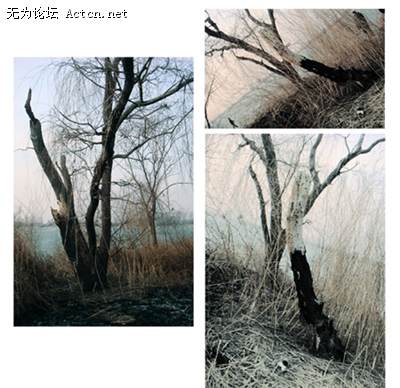 δ-4.jpg