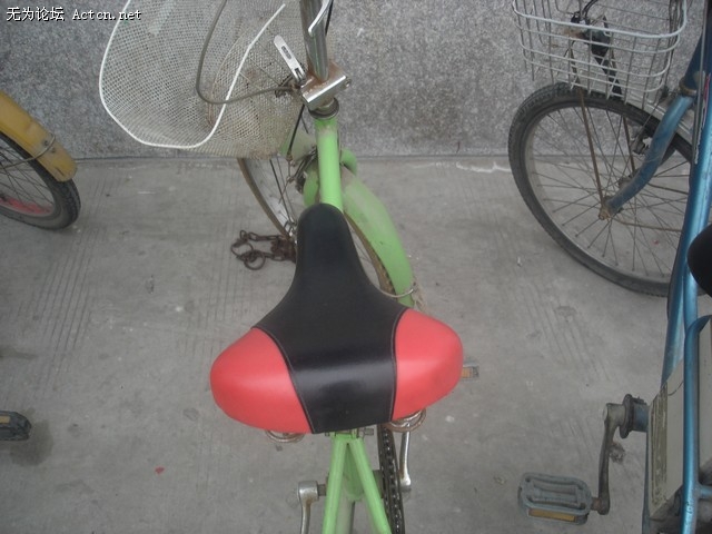 DSC06727.JPG