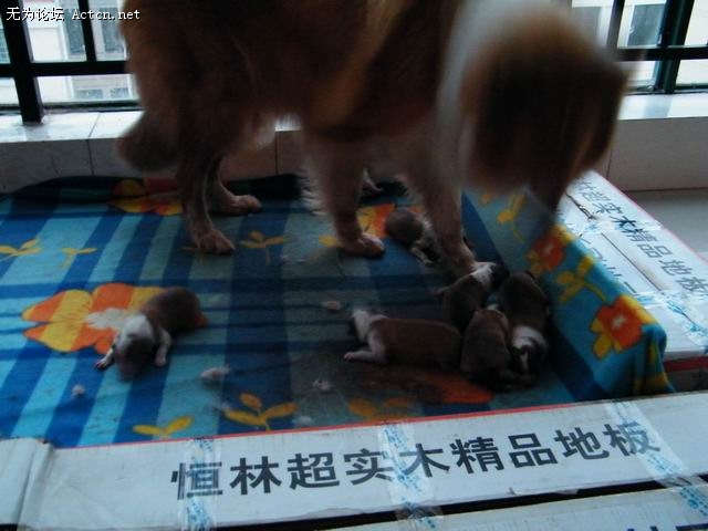 С DSCF0527.JPG