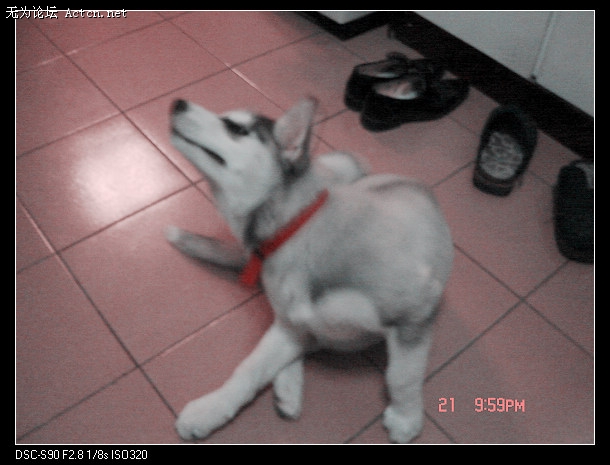 DSC01568.JPG