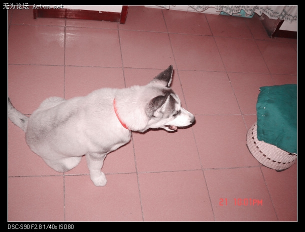 DSC01575.JPG