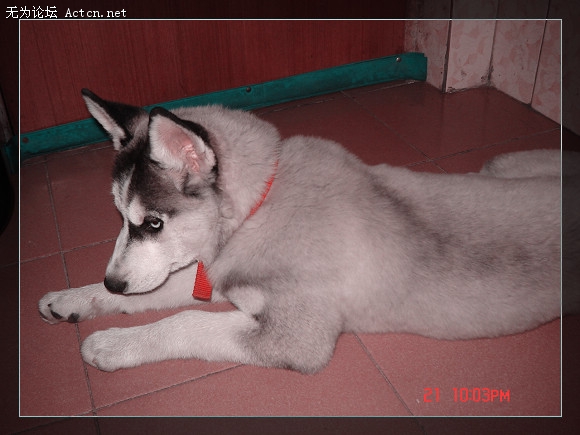 DSC01584.JPG