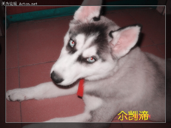 DSC01586.JPG