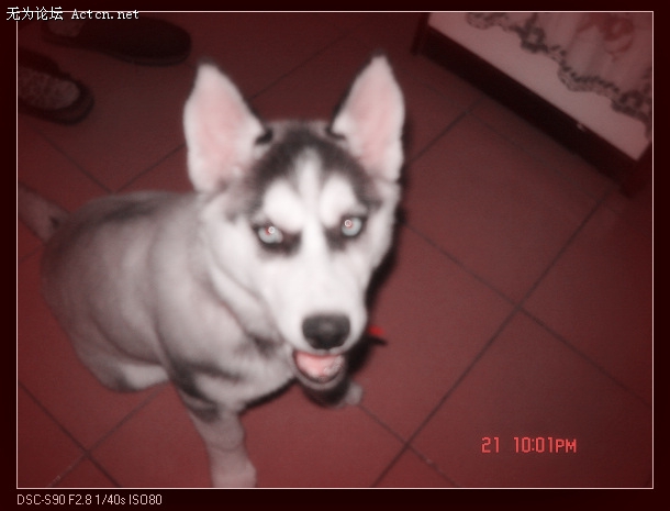 DSC01576.JPG