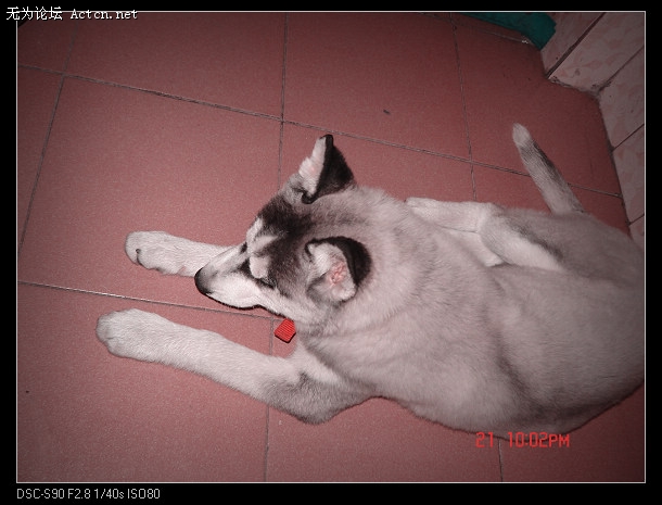 DSC01580.JPG