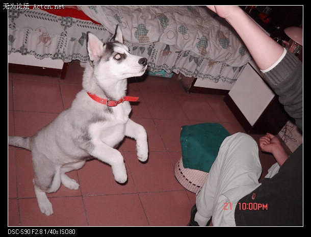 DSC01574.JPG