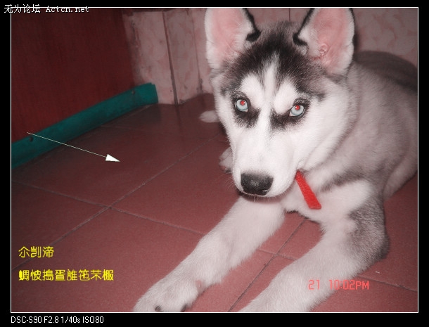 DSC01582.JPG