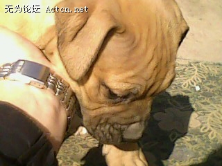 IMG0096A.jpg