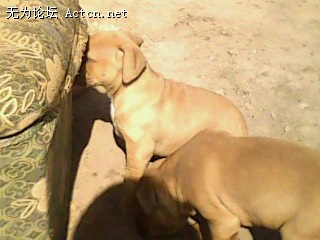 IMG0094A.jpg