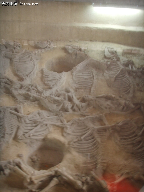 SSM16645.JPG