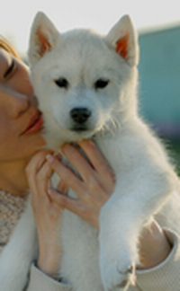 ʿ桿ALEX+ѩ ֱ