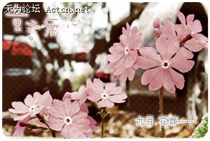 50aeeb96t5f77e775cdba&amp;000.jpg