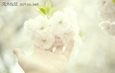 59e61208x6354ab4039a2.jpg