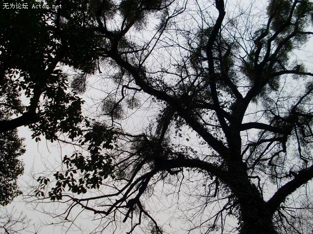 SL370064.JPG