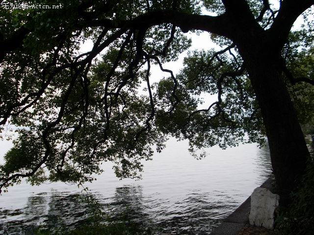 SL370069.JPG