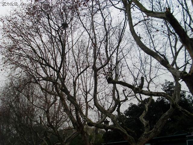 SL370055.JPG