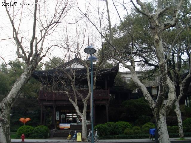 SL370038.JPG