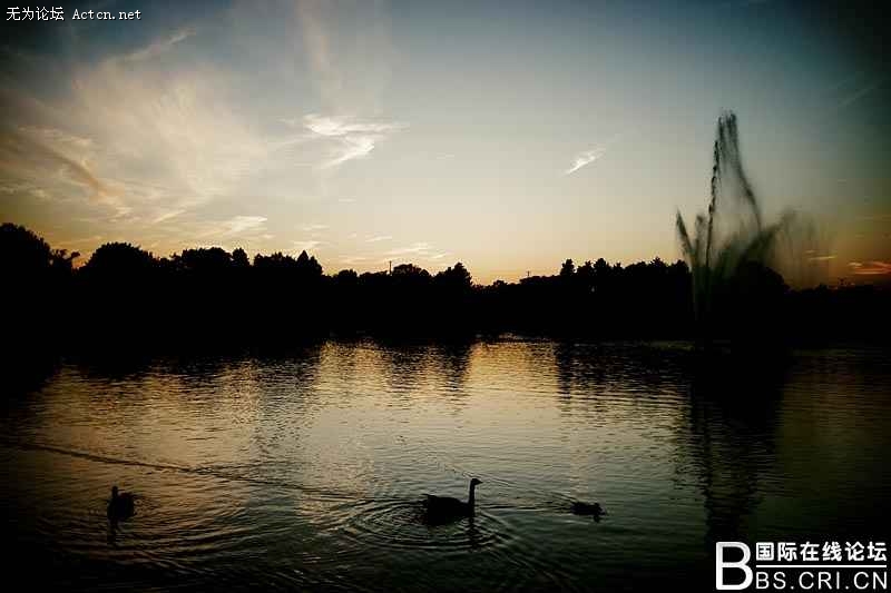 354_250765_5ef71113a3950ac.jpg
