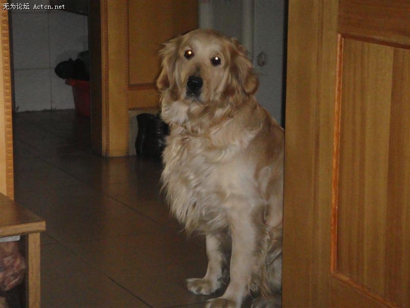 DSC00083 ().JPG