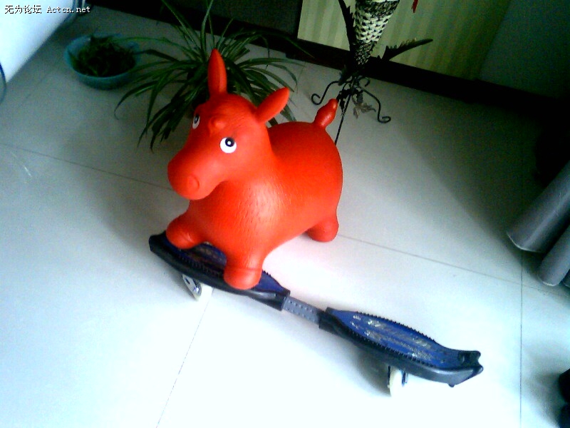 IMG0041A.jpg
