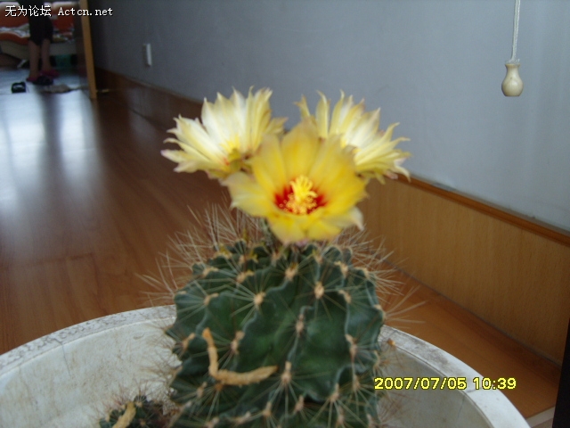 S1030751.JPG