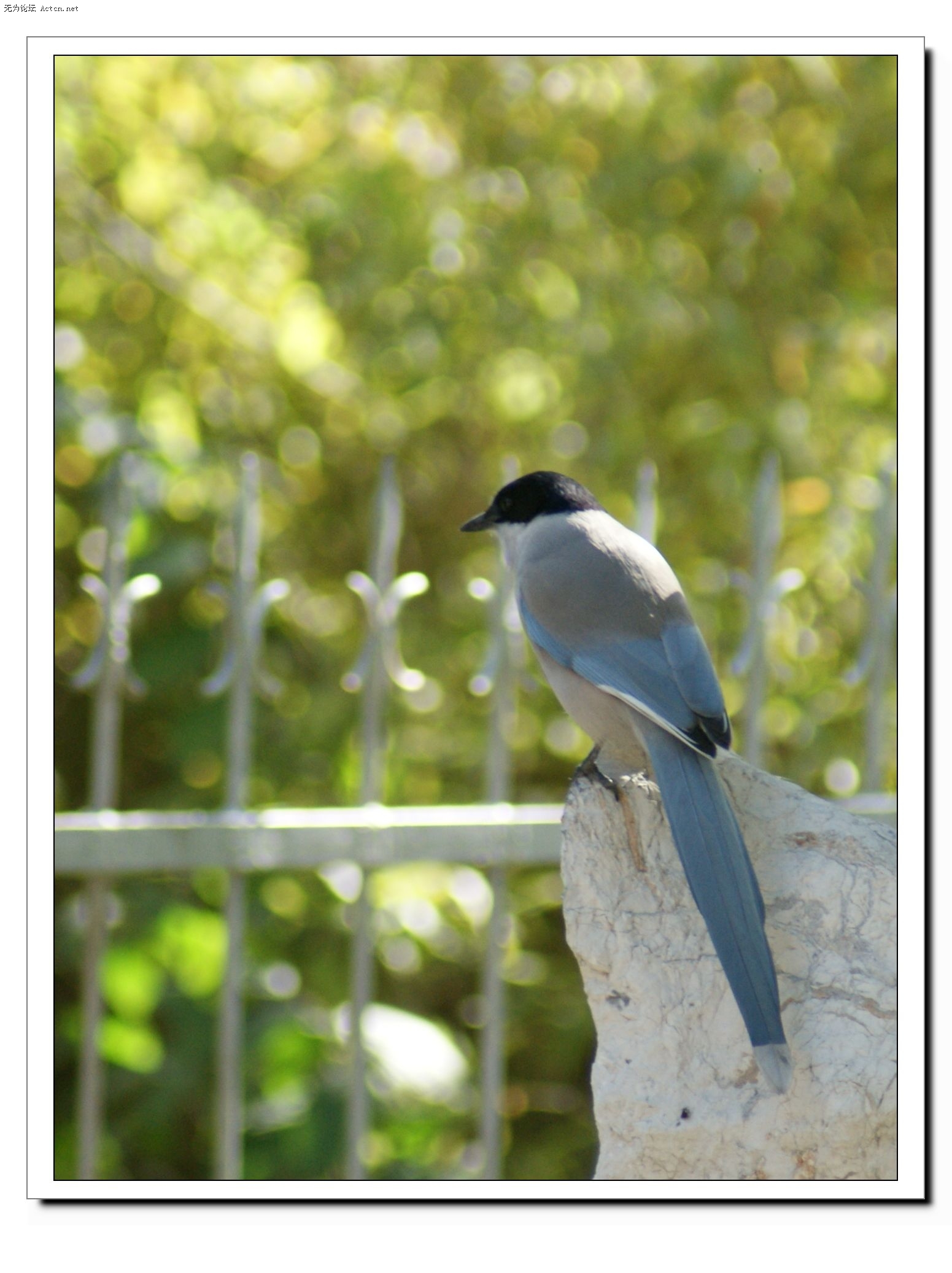 DSC02013-1.jpg
