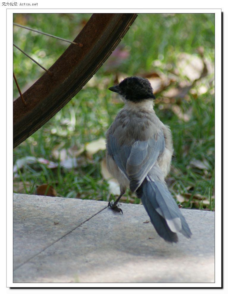 DSC02043-1.jpg