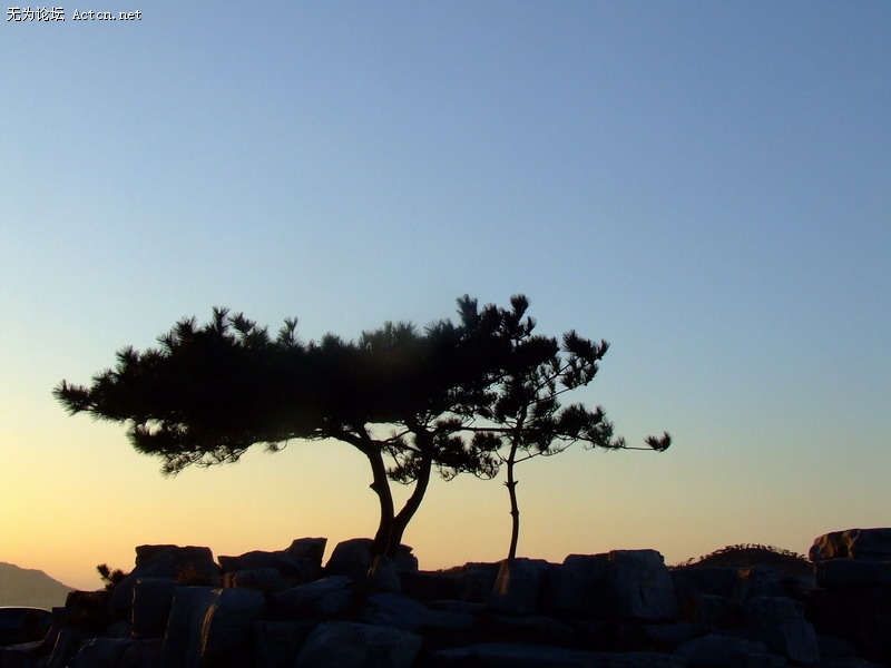 DSCF8778.JPG
