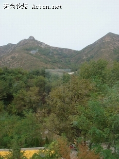 DSC01430.jpg