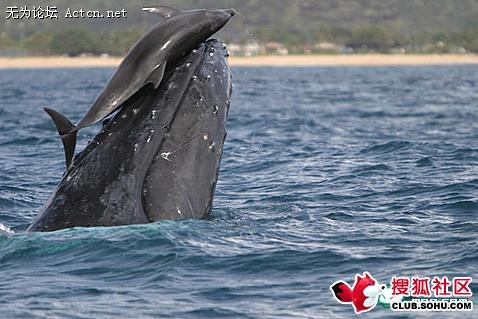 55_147920_bd322466aa03d72.jpg