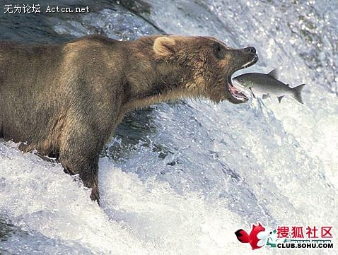 55_147920_e2729b9c3144fc4.jpg