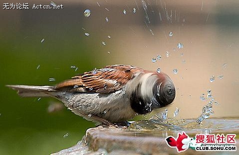 55_147920_b17835f1b5de904.jpg