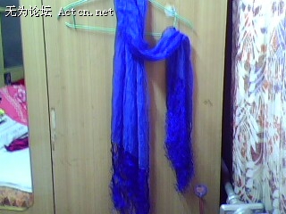 IMG0362A.jpg