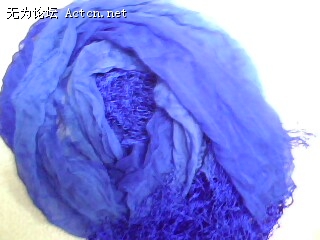 IMG0363A.jpg