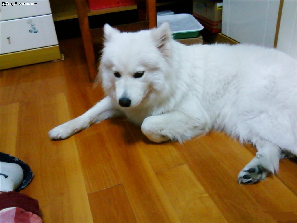 F2008061703550389390911.jpg
