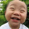 8839162.gif
