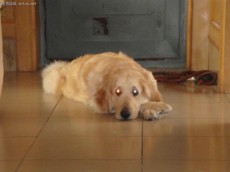DSC00096 ().JPG