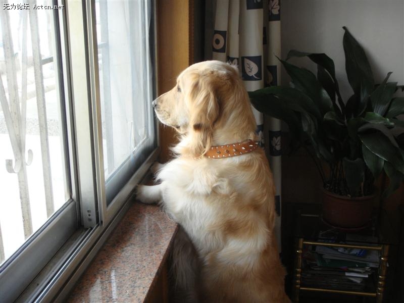 DSC00100 ().JPG