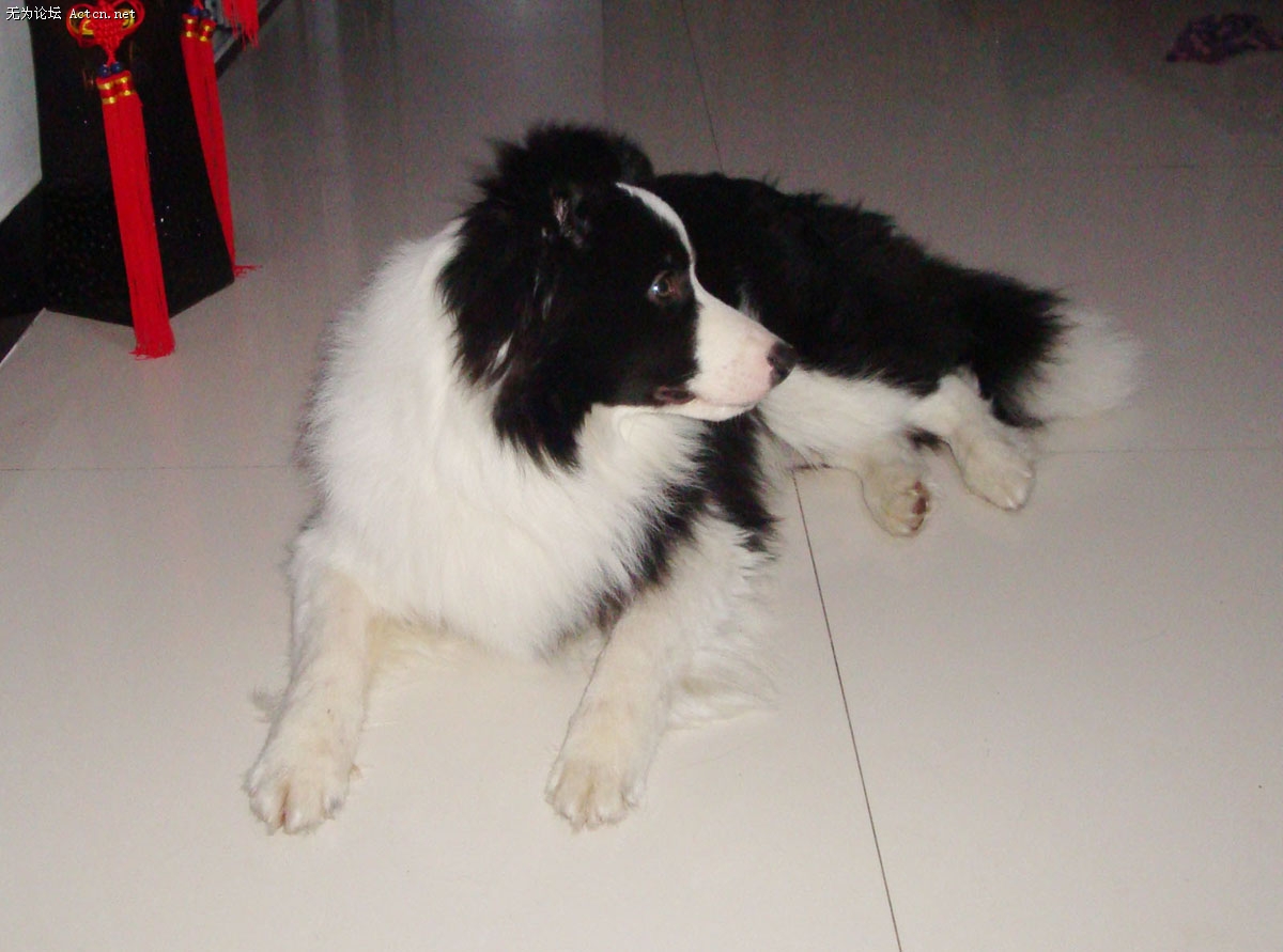 DSC03797.jpg