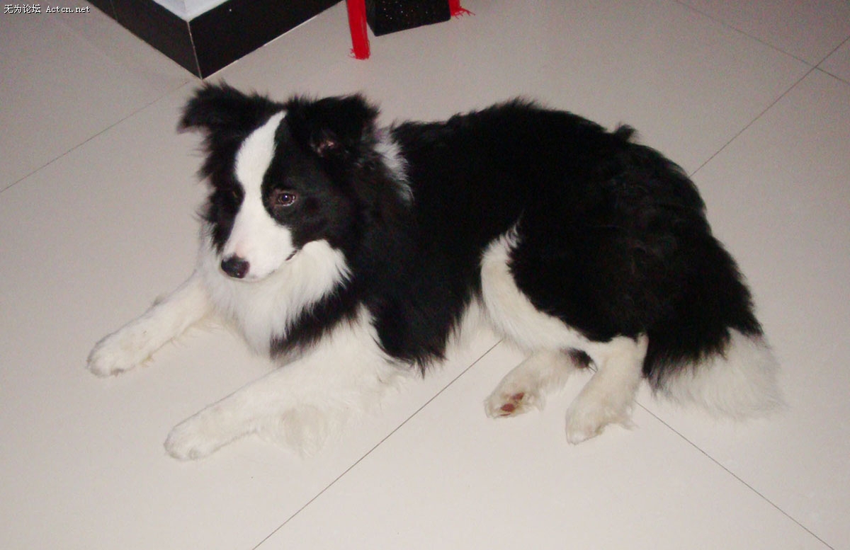 DSC03798.jpg