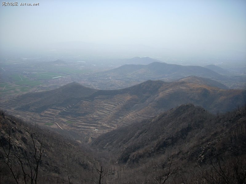 Ƭ 036.jpg