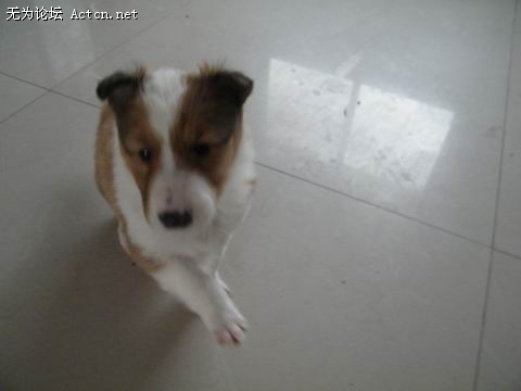 DSCF0871.JPG