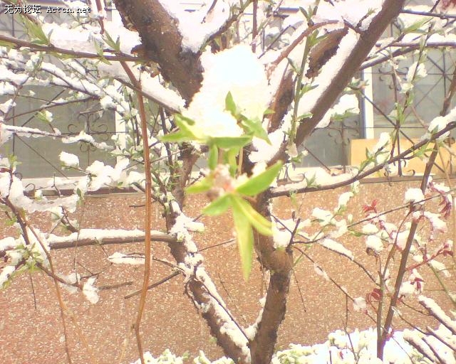 IMG0065A.JPG