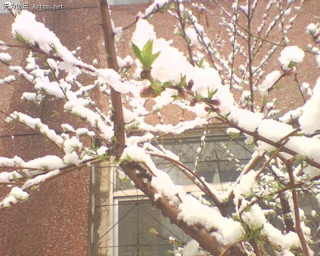 IMG0066A.JPG