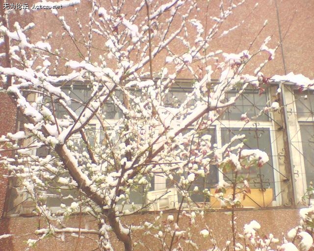 IMG0067A.JPG