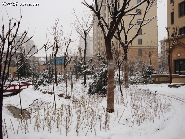 DSC03836.jpg
