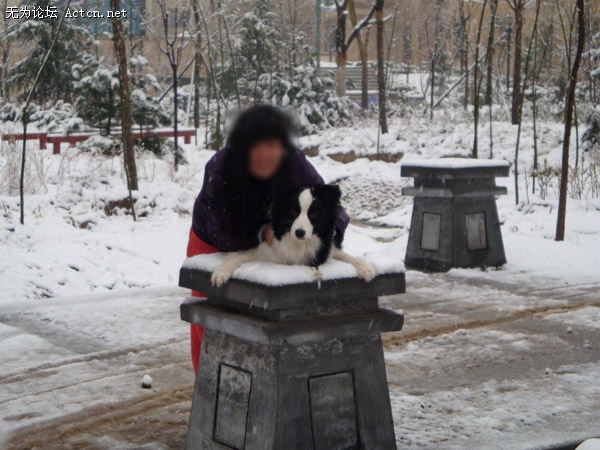 DSC03835.jpg