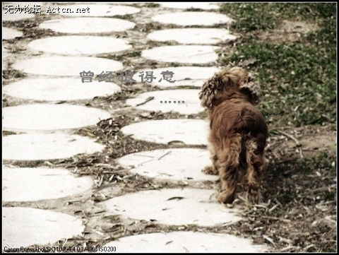 bubu2.jpg