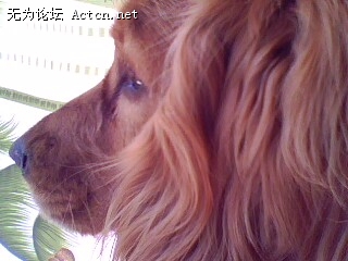 IMG0374A.jpg